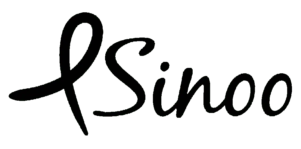 Logo noir de SInoo à Saint-Malo
